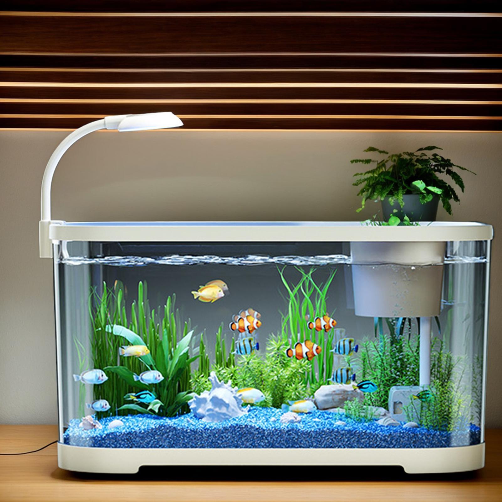 Aquarium Fish For Beginners - Аквариумный комплект, стартовый аквариум Бетта для