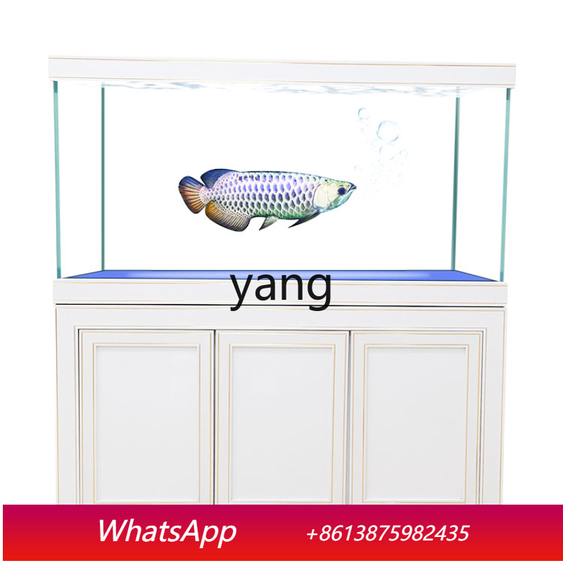 Aquarium Fish Dragon - Аквариум для драконьих рыбок LH Super