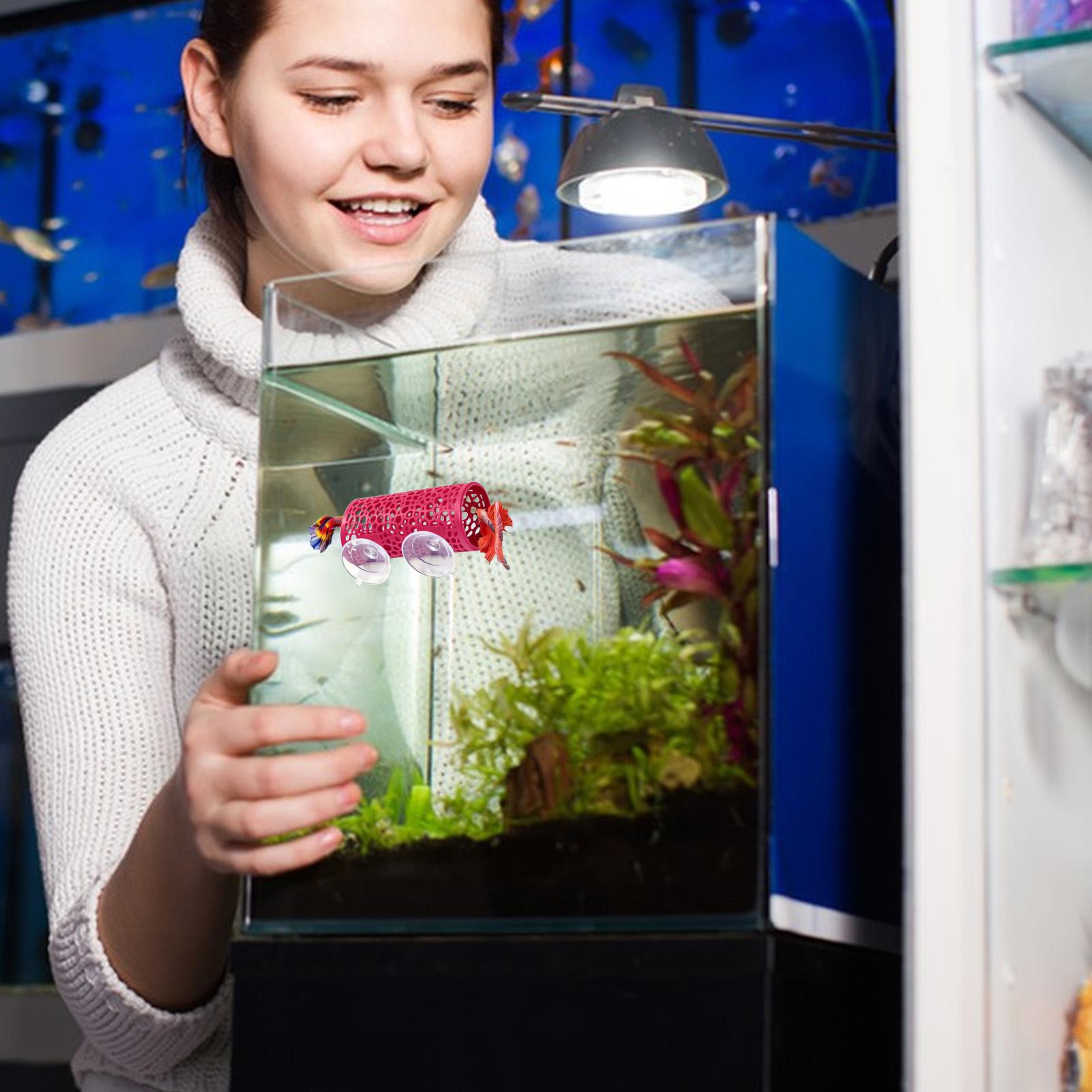 Уютное убежище-туннель для рыб – обзор и цена Aquarium Fish Youtube
