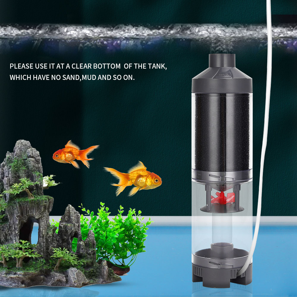 Сборщик рыбных рыбных рыб, кол – обзор и цена Cleaner Fish Aquarium