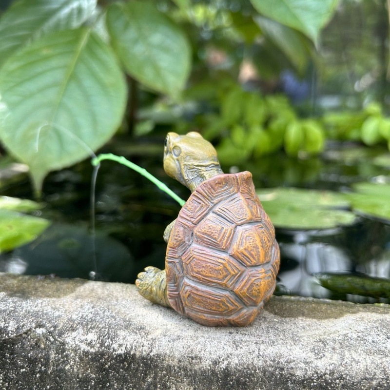 Черепаха, рыбалка, аквариум, у – обзор и цена Aquarium Fish To Buy