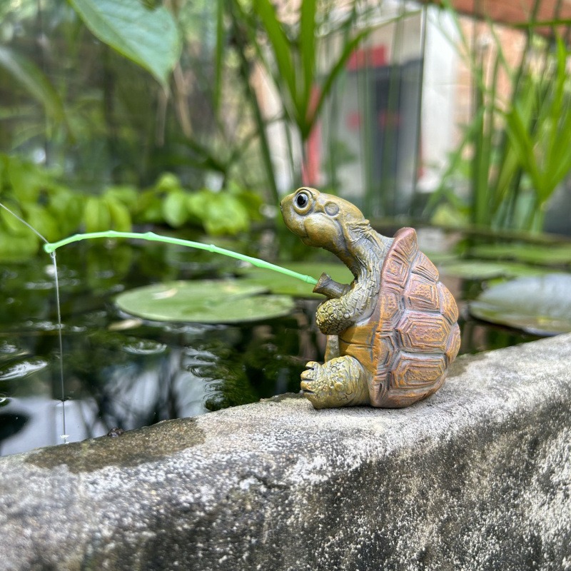 Черепаха, рыбалка, аквариум, у – обзор и цена Aquarium Fish To Buy