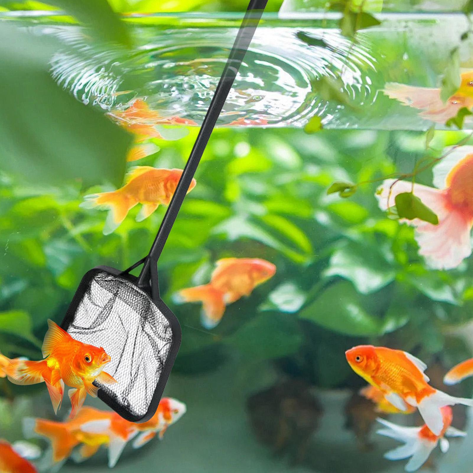 Сетки для чистки бассейнов, по – обзор и цена Aquarium Fish To Buy