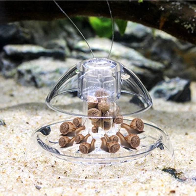 1 шт., очиститель для аквариум – обзор и цена Cleaner Fish Aquarium