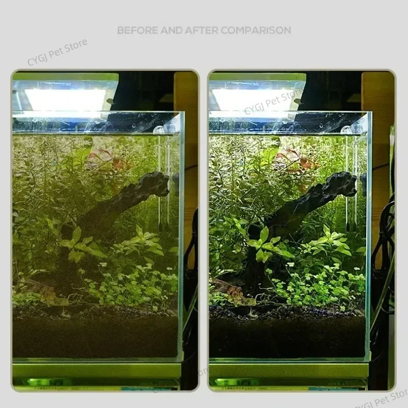 Инструмент для чистки аквариум – обзор и цена Cleaner Fish Aquarium