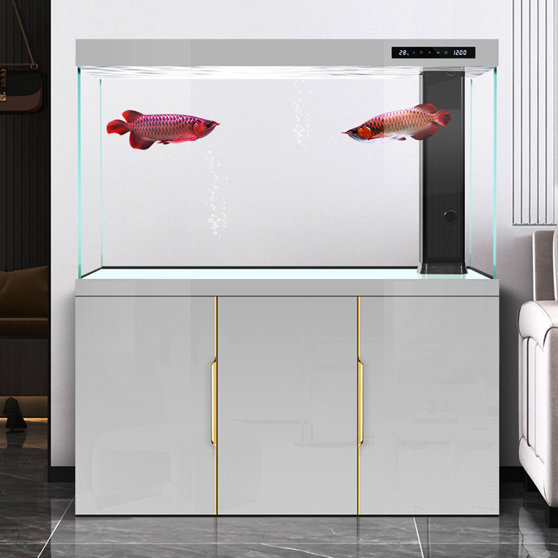 Аквариум для гостиной, новинка – обзор и цена Aquarium Fish Dragon