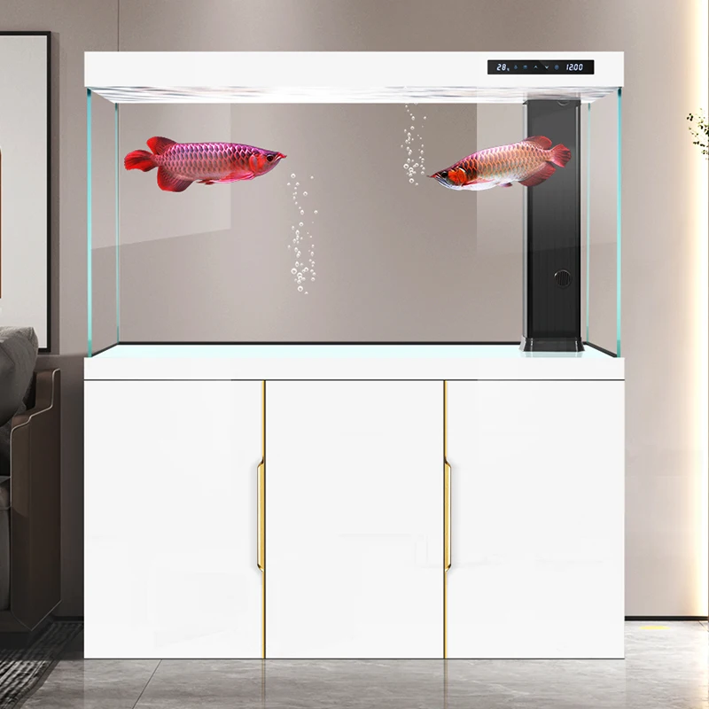 Аквариум для гостиной, новинка – обзор и цена Aquarium Fish Dragon