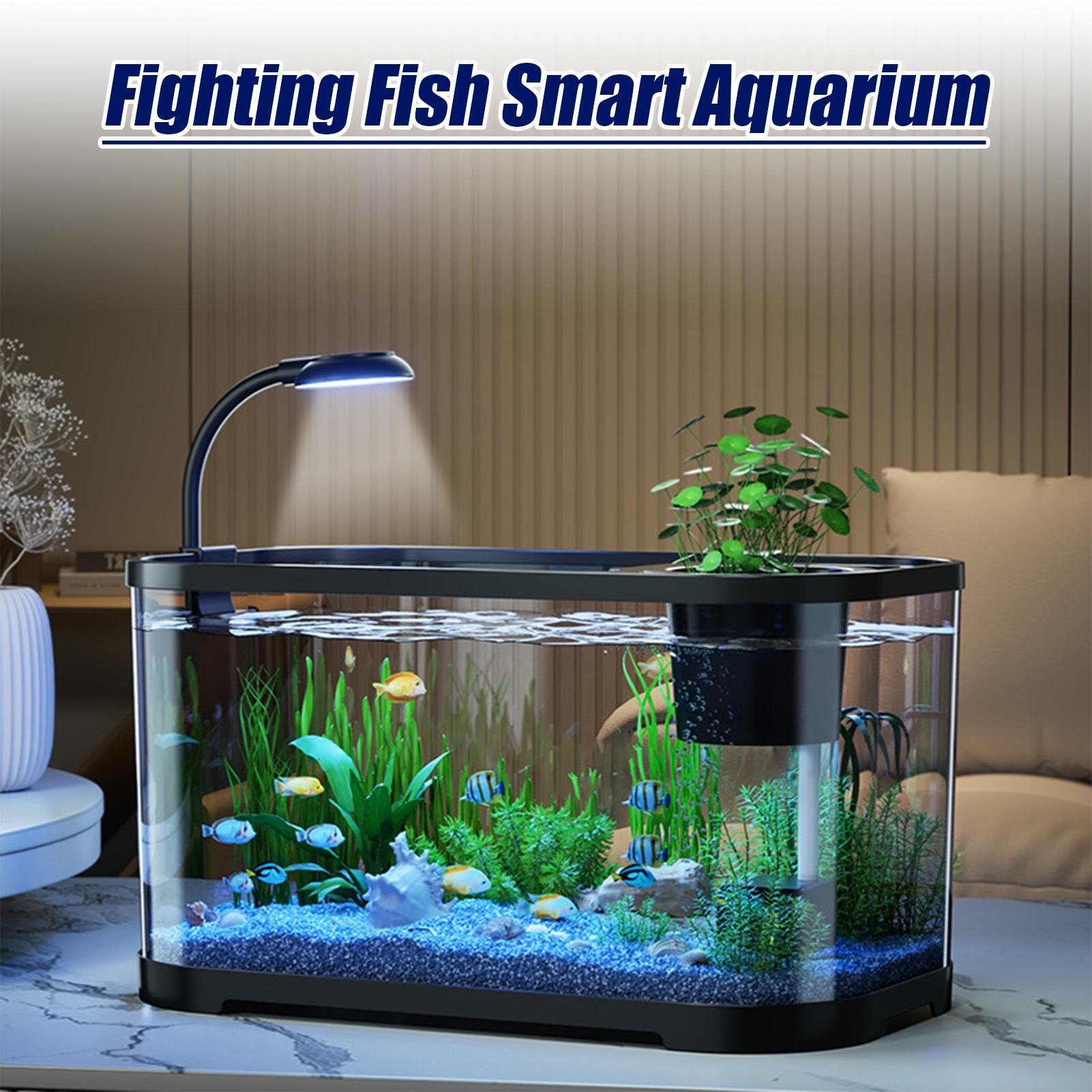 Аквариумный комплект, стартовы – обзор и цена Aquarium Fish For Beginners