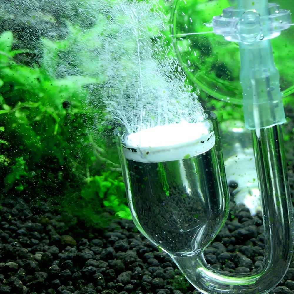 Аквариумный стеклянный распыли – обзор и цена Aquarium Fish Photography