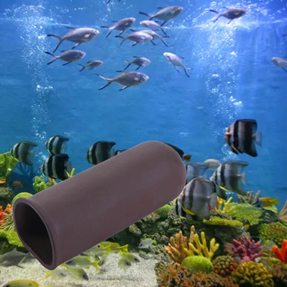 Новая аквариумная пещера, укры – обзор и цена Aquarium Fish For Beginners