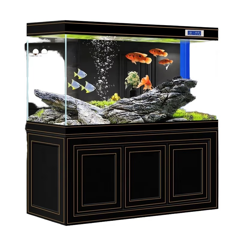 Аквариум для дома и офиса: Све – обзор и цена Aquarium Fish Dragon