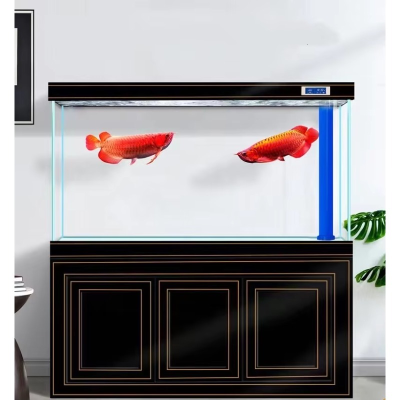 Аквариум для дома и офиса: Све – обзор и цена Aquarium Fish Dragon