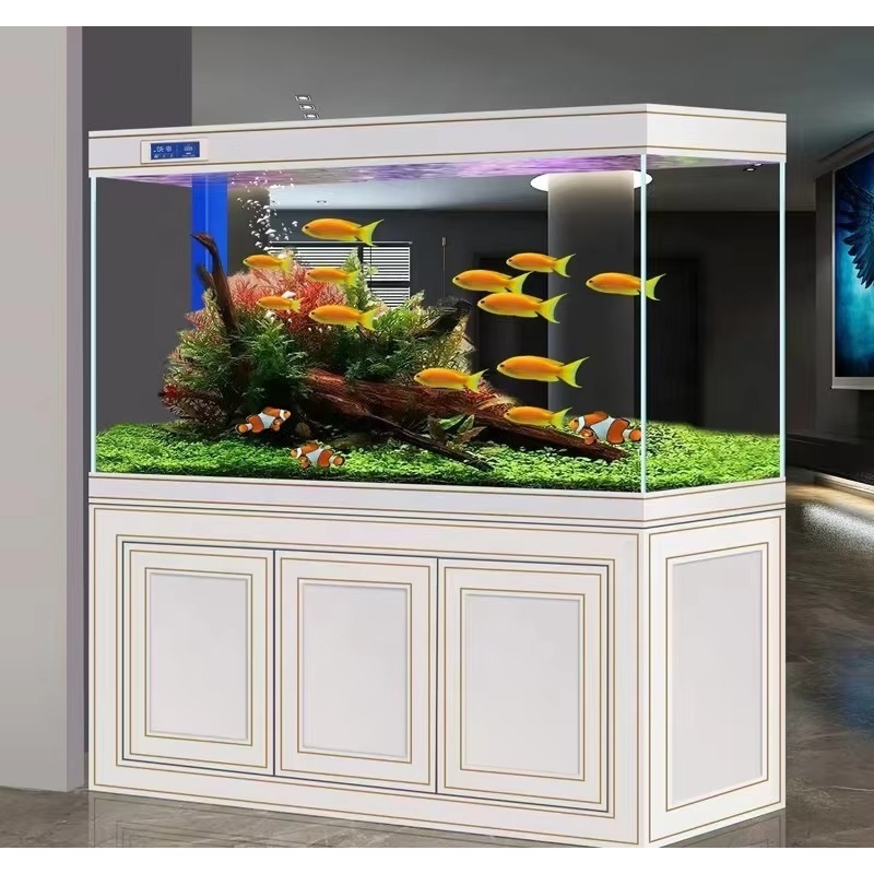 Аквариум для дома и офиса: Све – обзор и цена Aquarium Fish Dragon