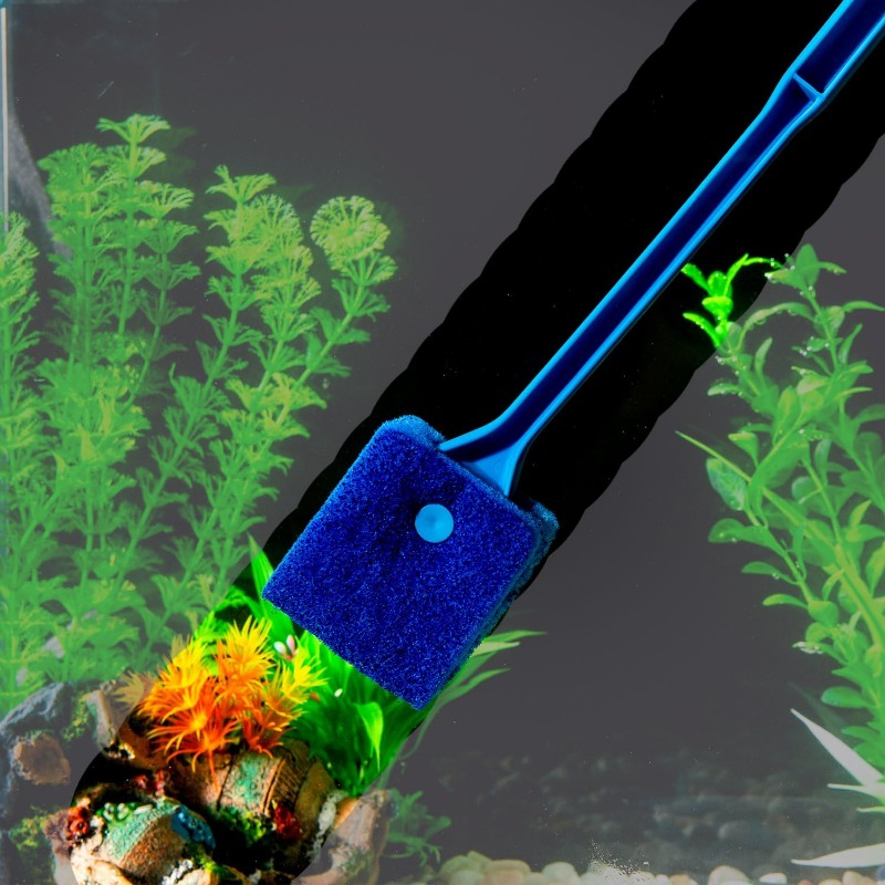 Новый скребок для водорослей в – обзор и цена Aquarium Fish For Beginners