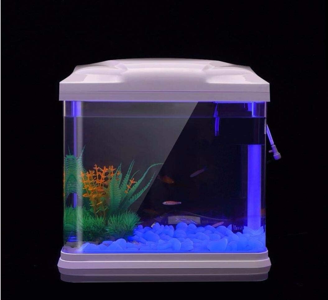 Скели для аквариума, светящиес – обзор и цена Aquarium Fish To Buy