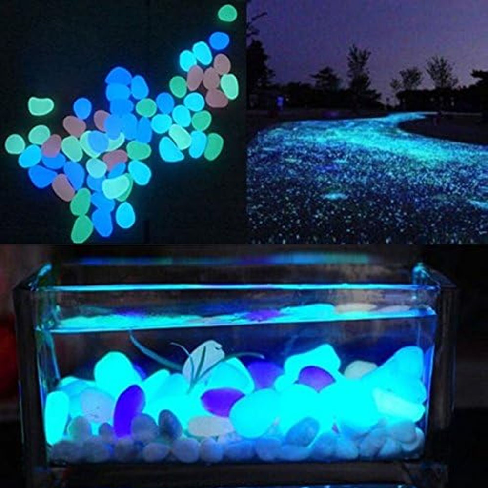 Скели для аквариума, светящиес – обзор и цена Aquarium Fish To Buy