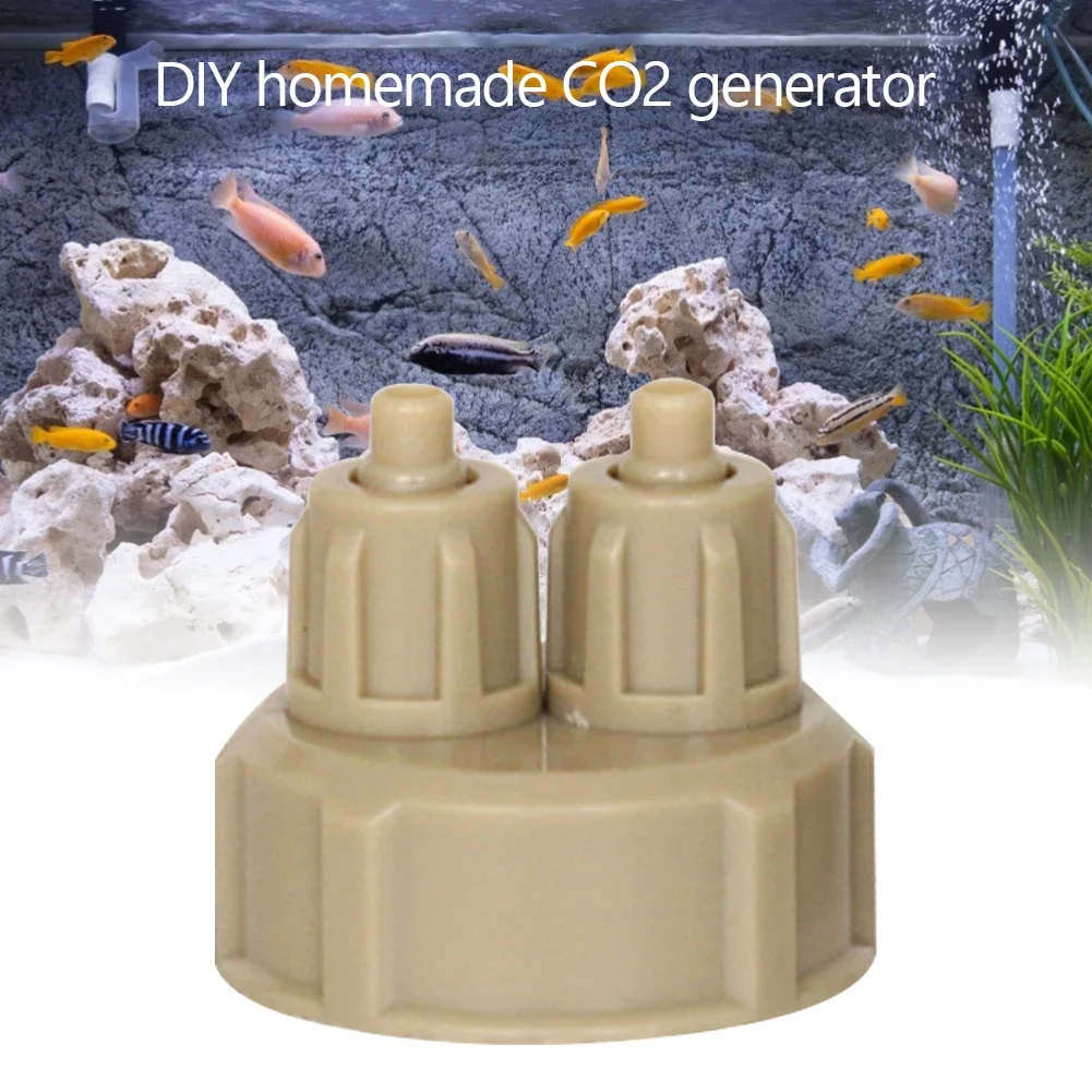 Аквариумная система CO2, крышк – обзор и цена Aquarium Fish Photography