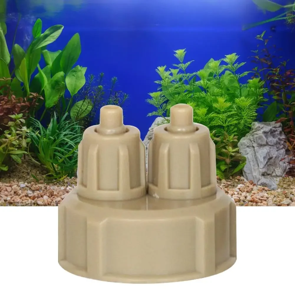 Аквариумная система CO2, крышк – обзор и цена Aquarium Fish Photography