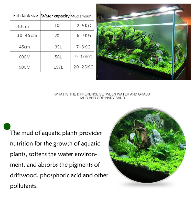 Семена аквариумных растений, п – обзор и цена Aquarium Fish To Buy