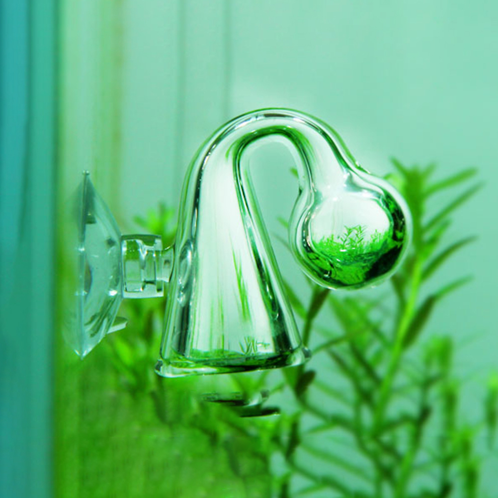 Аквариум CO2, диффузное стекло – обзор и цена Aquarium Fish Photography