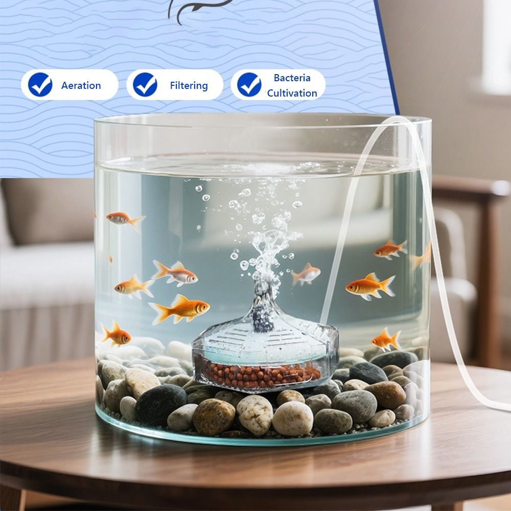 Новый портативный аквариумный  – обзор и цена Aquarium Fish For Beginners