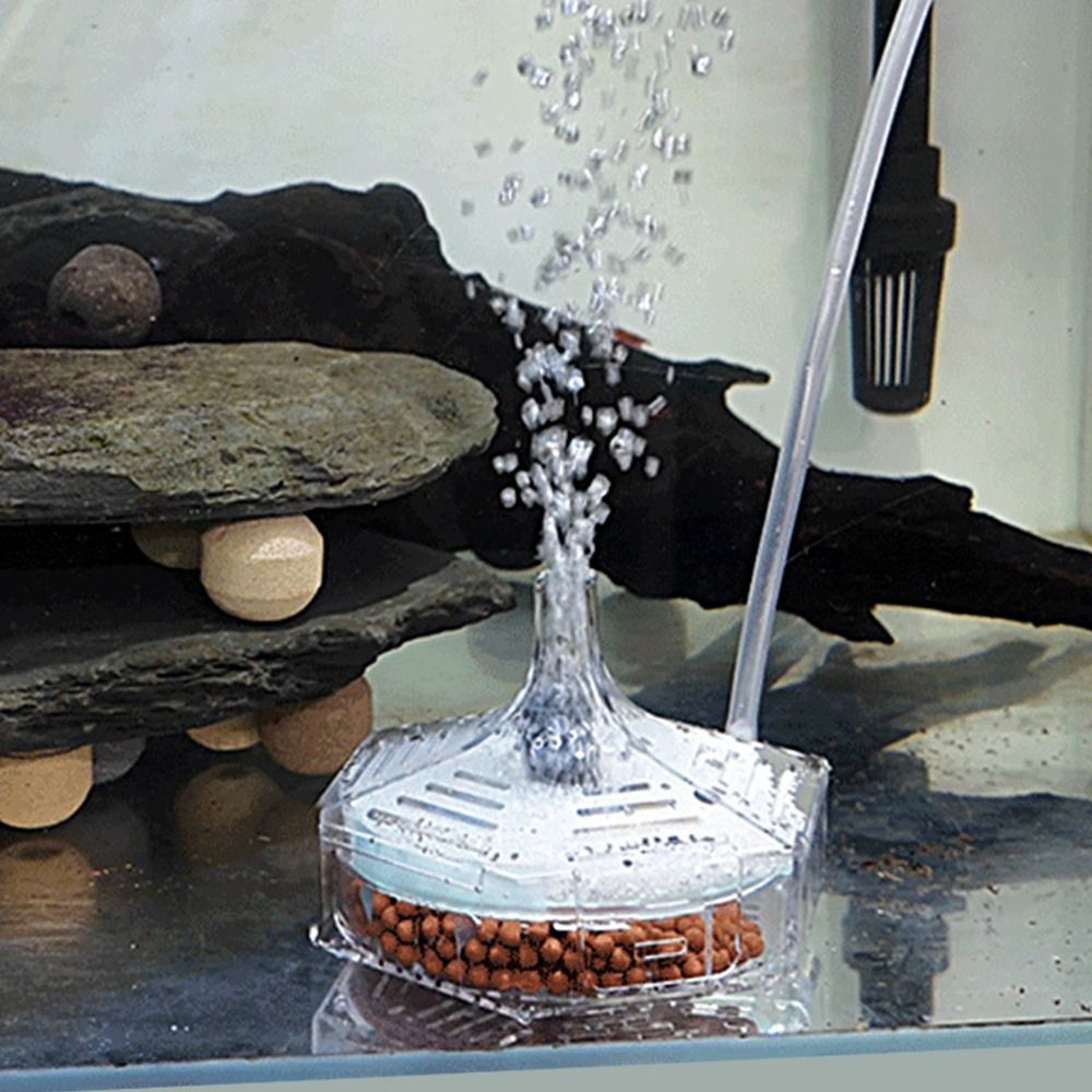 Новый портативный аквариумный  – обзор и цена Aquarium Fish For Beginners