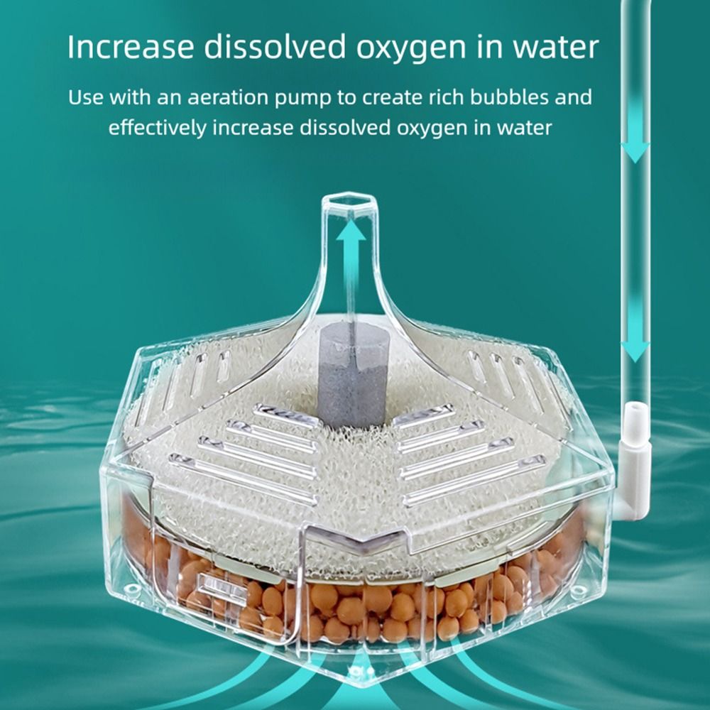 Новый портативный аквариумный  – обзор и цена Aquarium Fish For Beginners