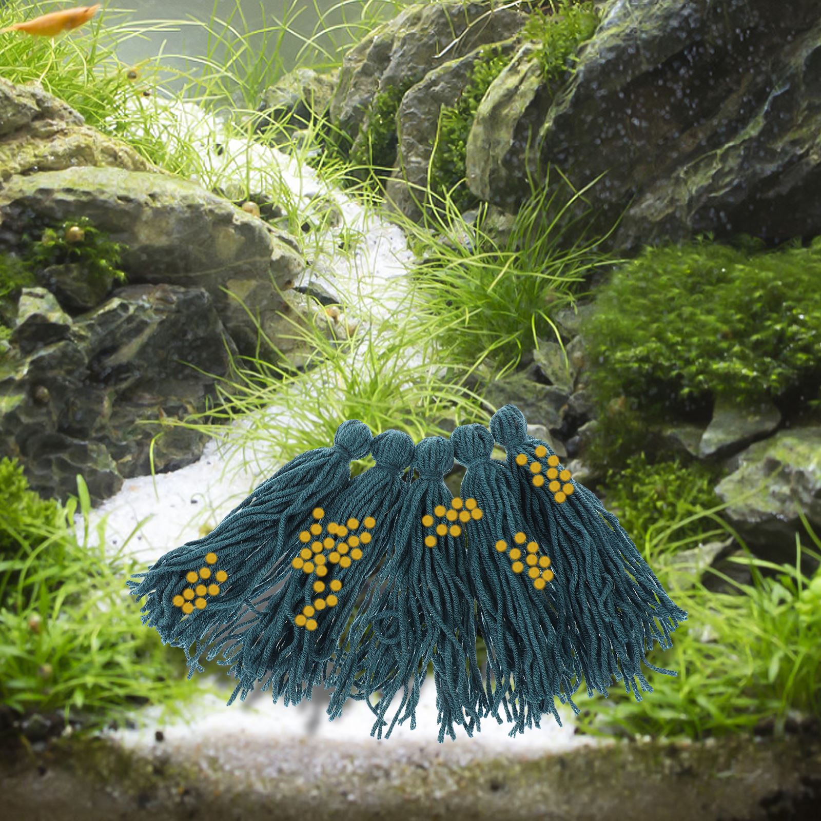 5 шт., швабра для инкубации, ш – обзор и цена Aquarium Fish For Beginners