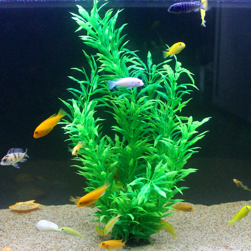 50 см искусственный аквариум р – обзор и цена Aquarium Fish To Buy