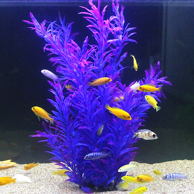 50 см искусственный аквариум р – обзор и цена Aquarium Fish To Buy
