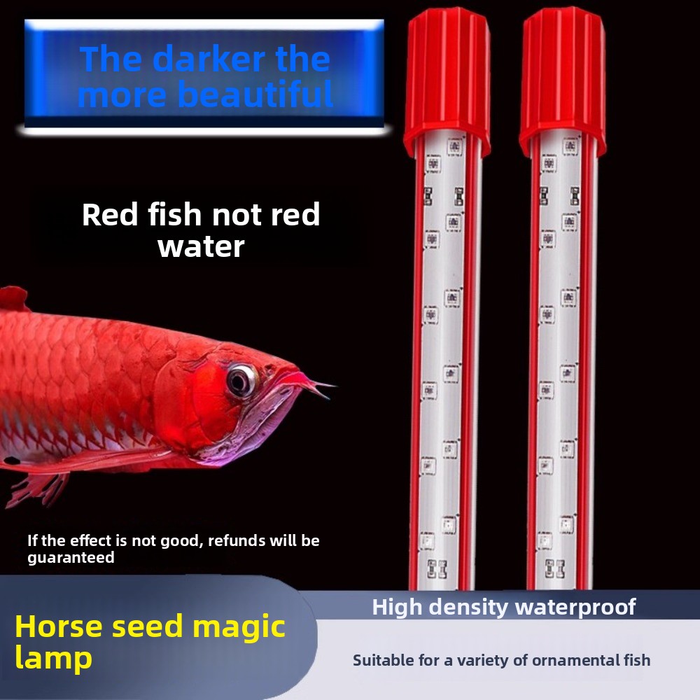 Свет для краски волос, три осн – обзор и цена Aquarium Fish Dragon