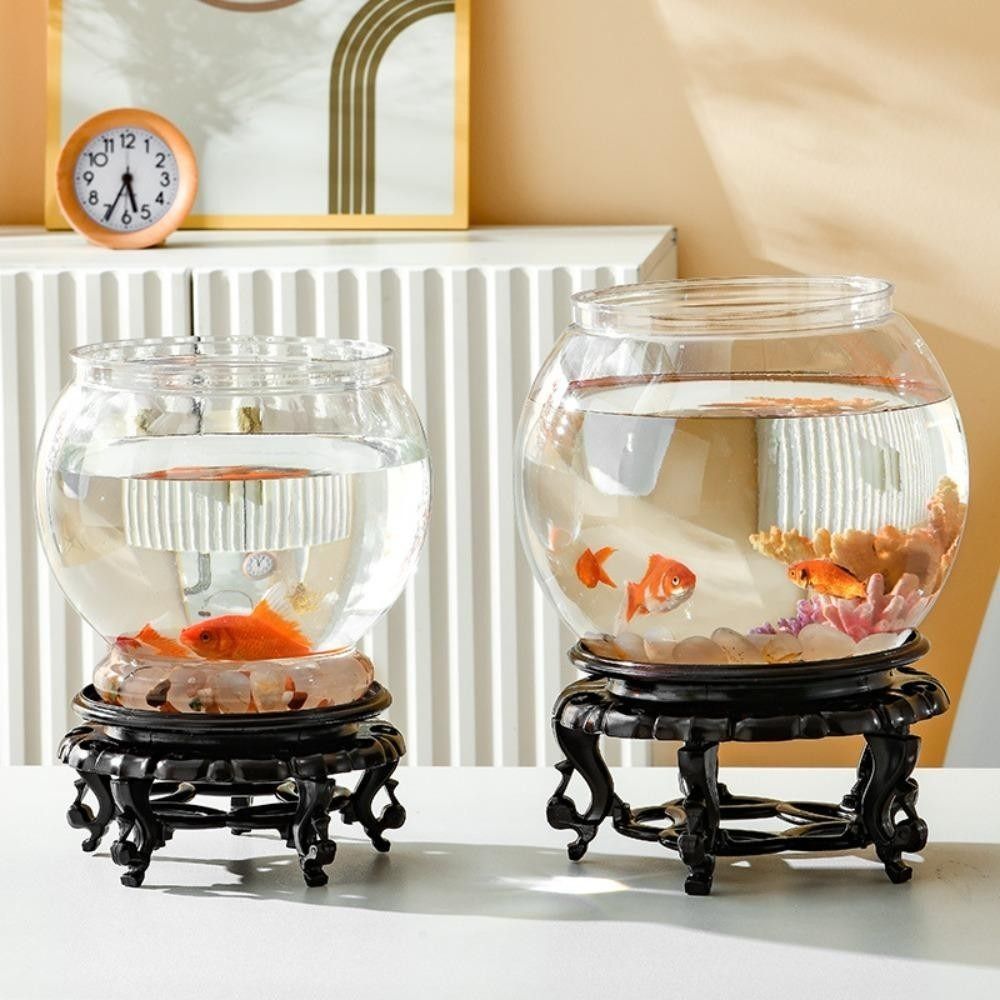 Новый прозрачный аквариум, кру – обзор и цена Aquarium Fish For Beginners