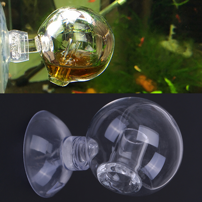 Диффузное стекло CO2 для прове – обзор и цена Aquarium Fish To Buy