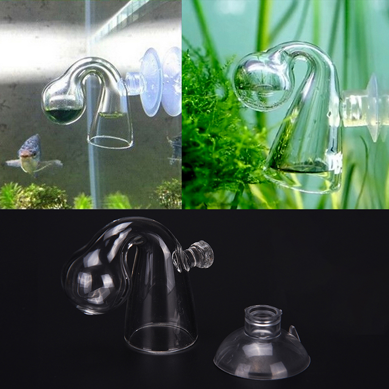 Диффузное стекло CO2 для прове – обзор и цена Aquarium Fish To Buy