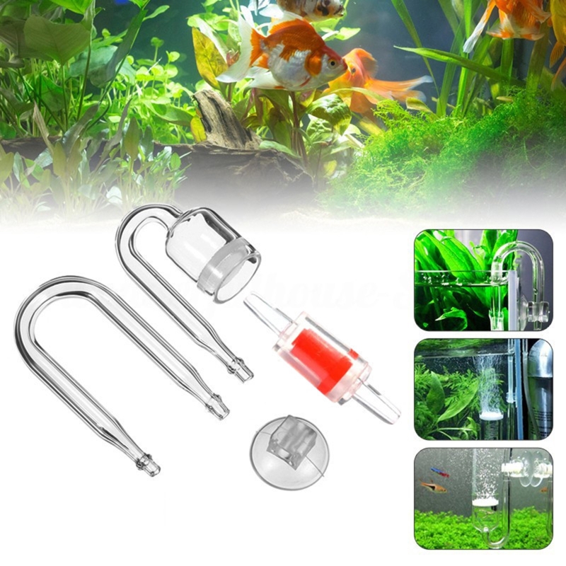 4 шт./набор, соленоидный регул – обзор и цена Aquarium Fish Photography