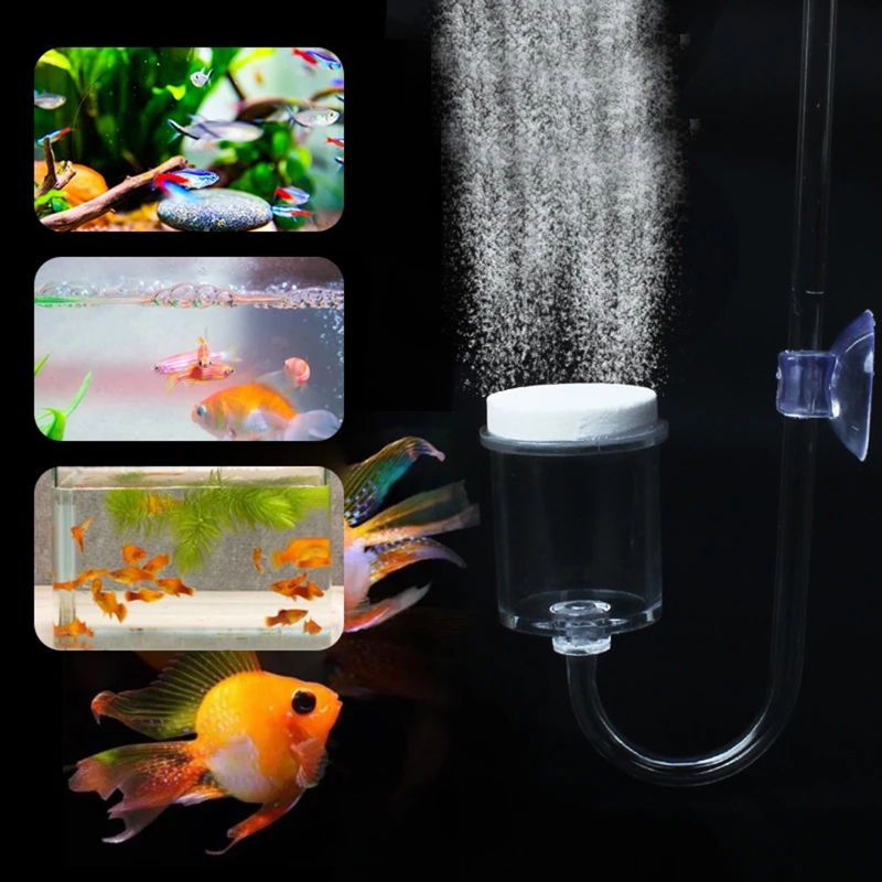 4 шт./набор, соленоидный регул – обзор и цена Aquarium Fish Photography