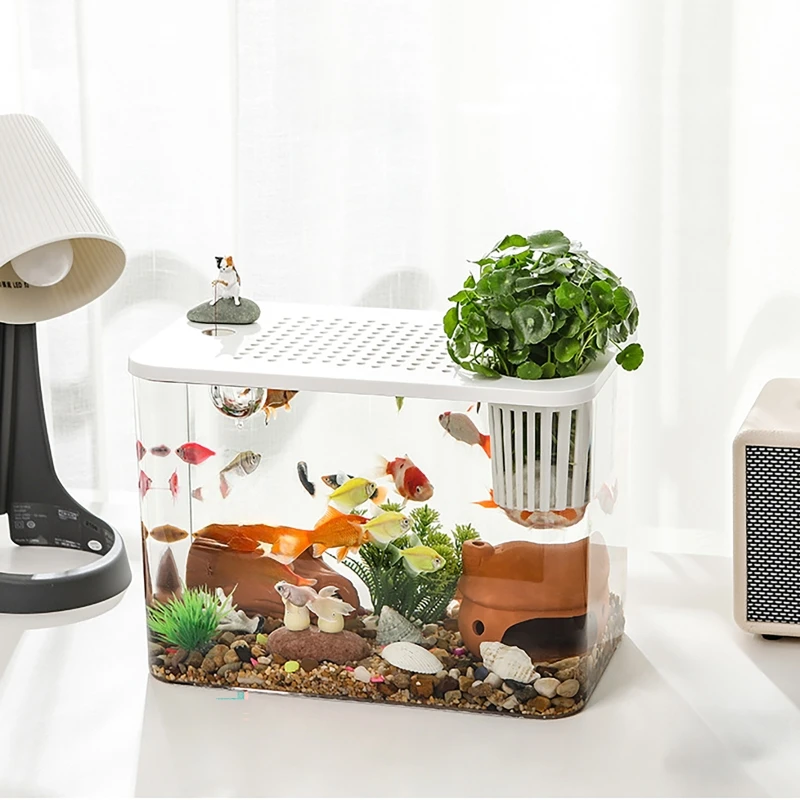 ПЭТ + АБС-аквариум, новый проз – обзор и цена Aquarium Fish For Beginners