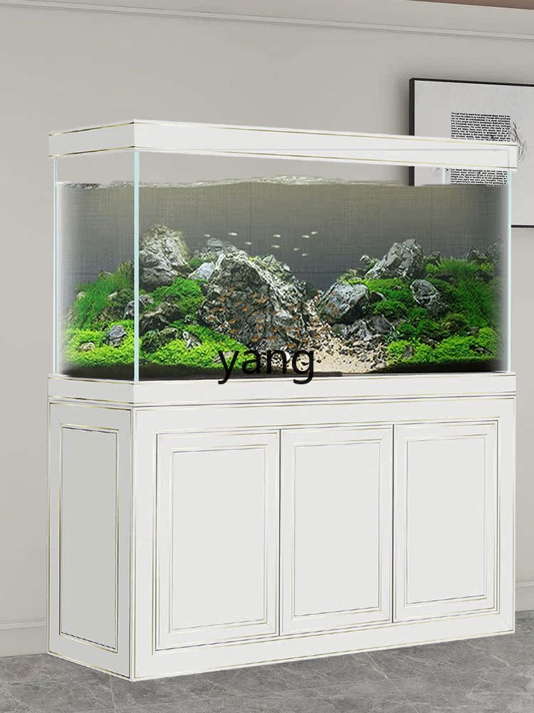 Аквариум для драконьих рыбок L – обзор и цена Aquarium Fish Dragon