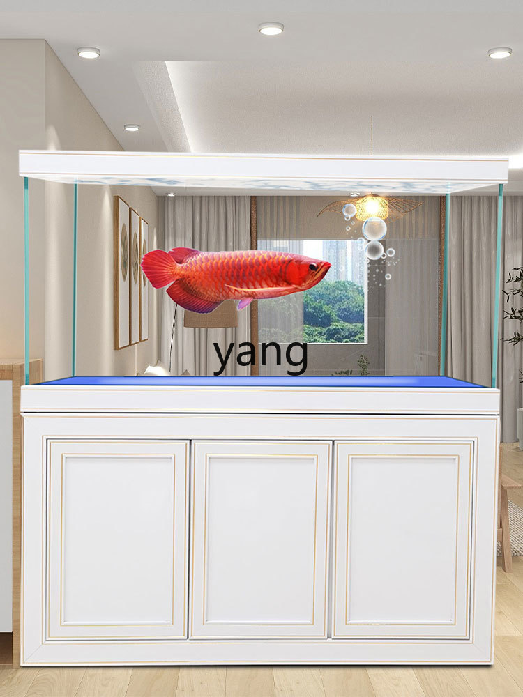 Аквариум для драконьих рыбок L – обзор и цена Aquarium Fish Dragon